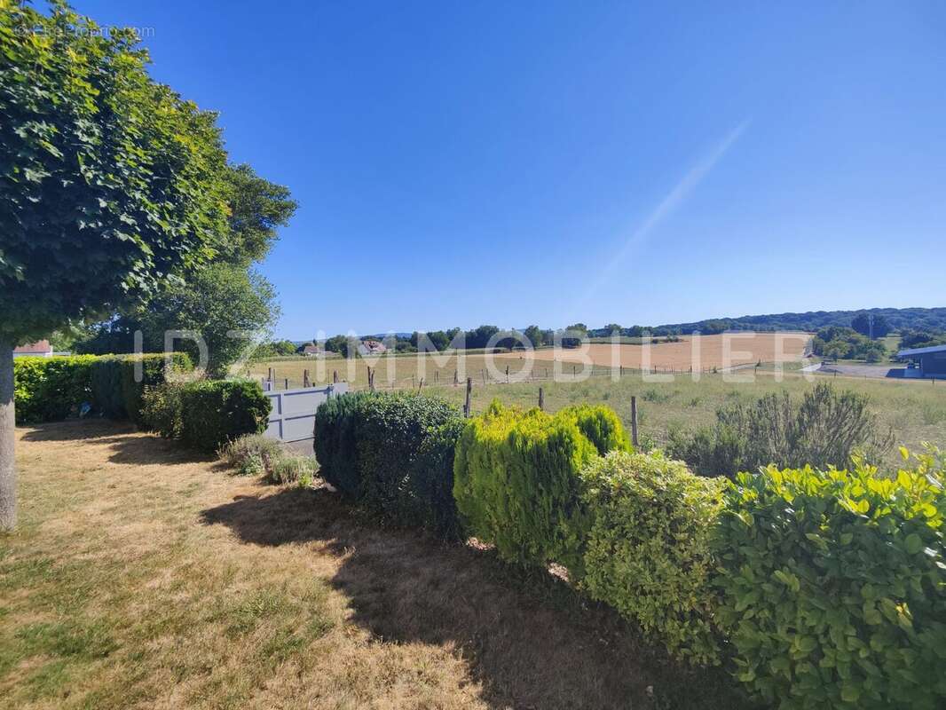 Maison 170 m² à Hegenheim  - photo 5