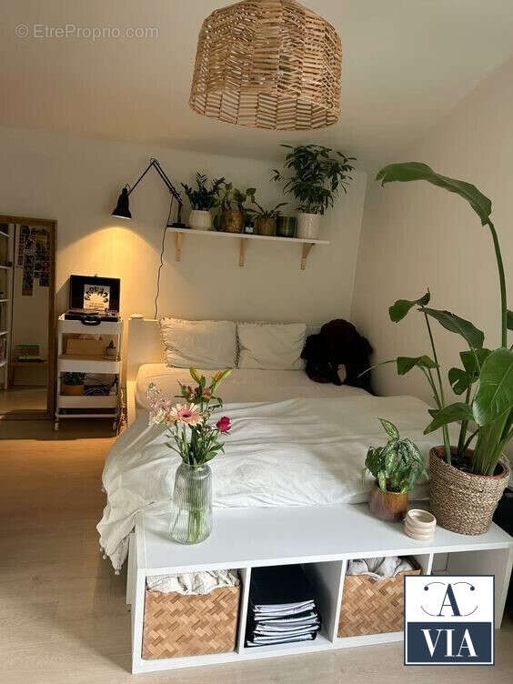 Appartement à BISCHOFFSHEIM