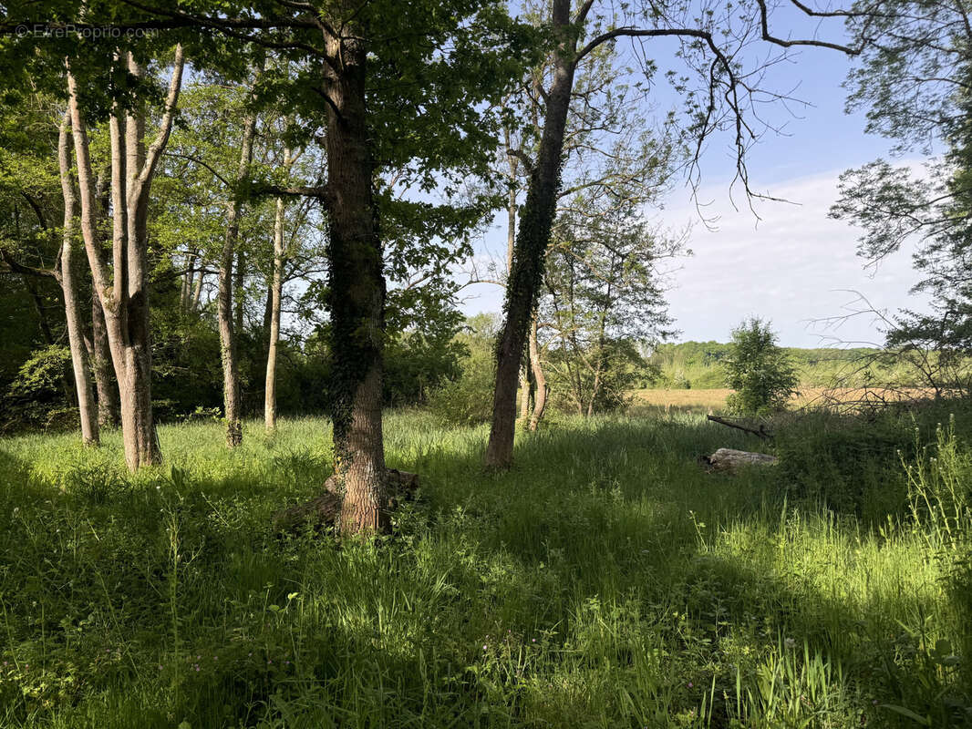 Maison à CHAMBEUGLE
