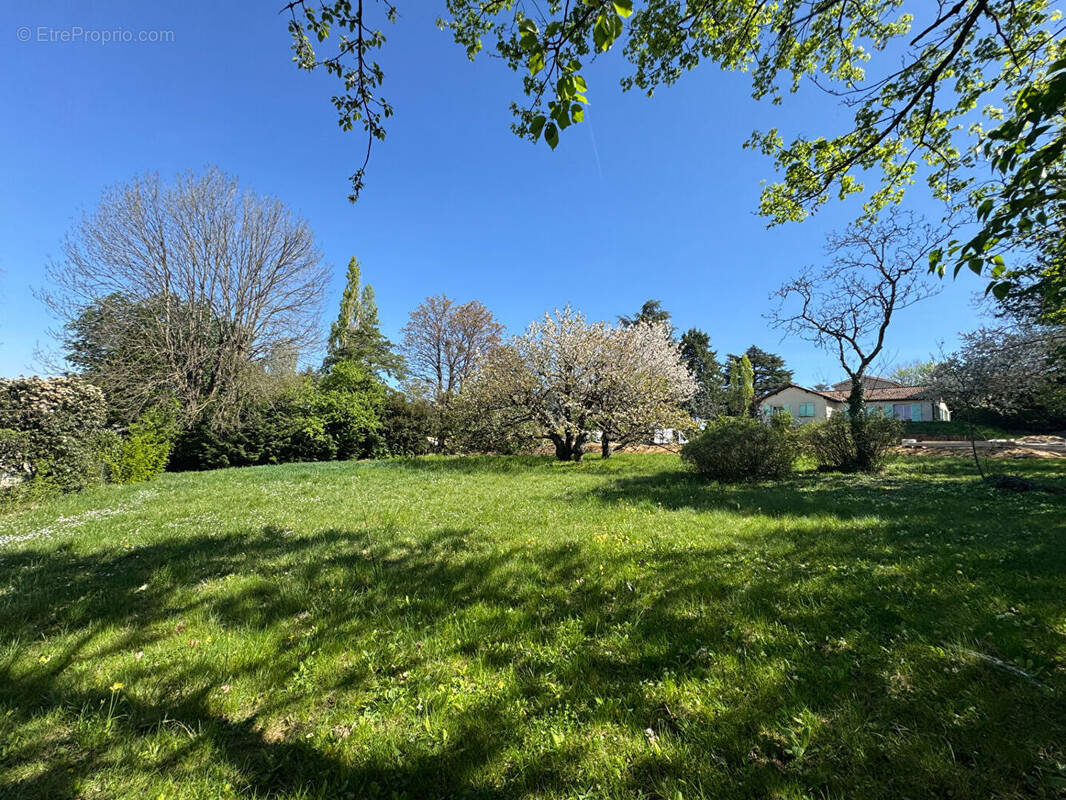 Terrain à SAINTE-FOY-LES-LYON