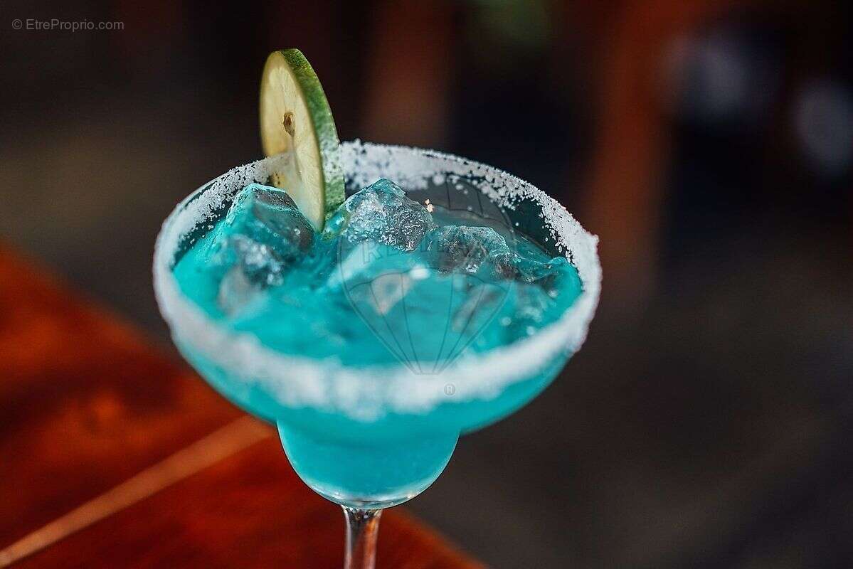 Commerce à SAINT-GEORGES-DE-DIDONNE