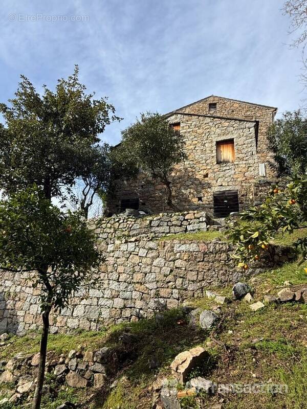 Maison à SARROLA-CARCOPINO