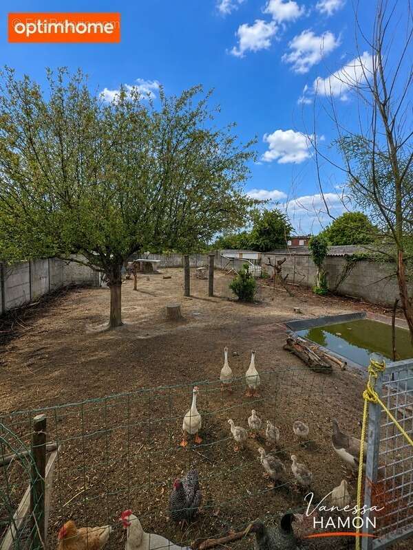 Somain - 4 chambres - terrain 1600m² - photo 10