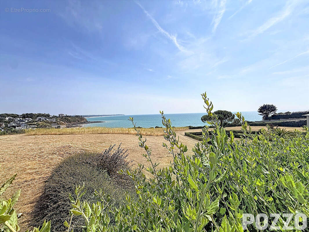 Appartement 2 pieces - granville - 51 m2 - photo 4