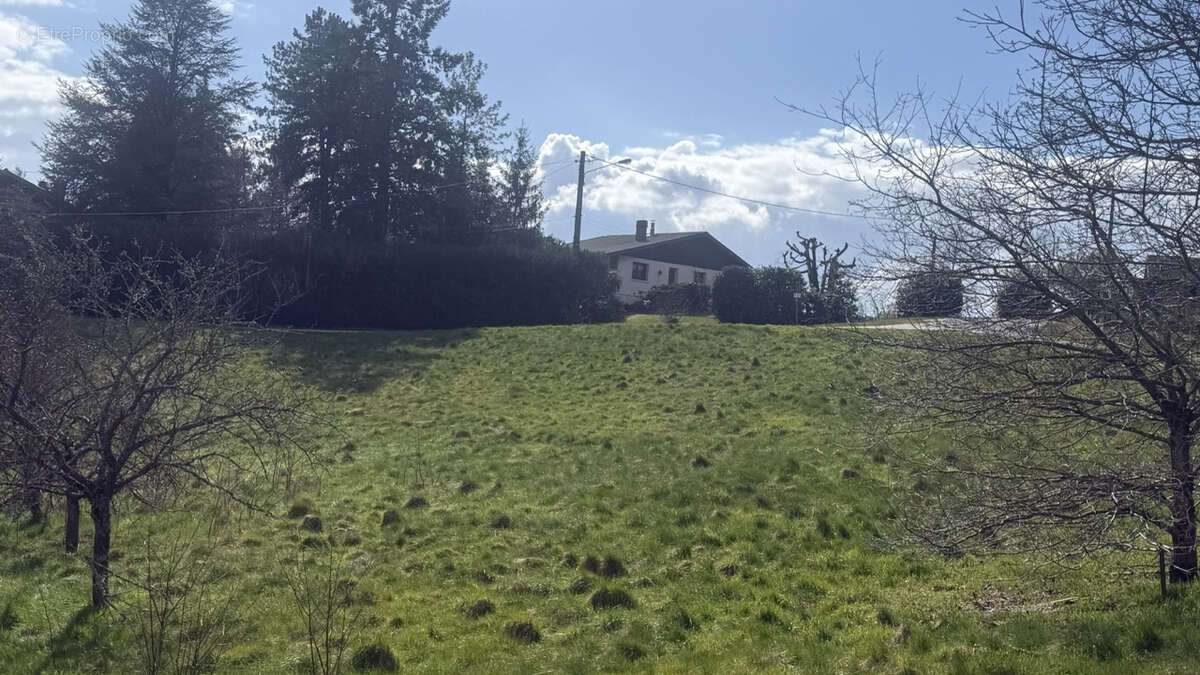 Terrain à NAYEMONT-LES-FOSSES