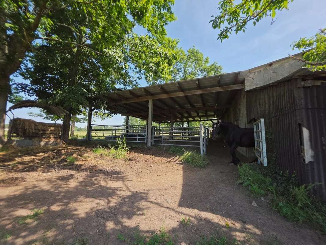 Belle maison entre Eymet et Duras avec 4 hectares de terrain - photo 34