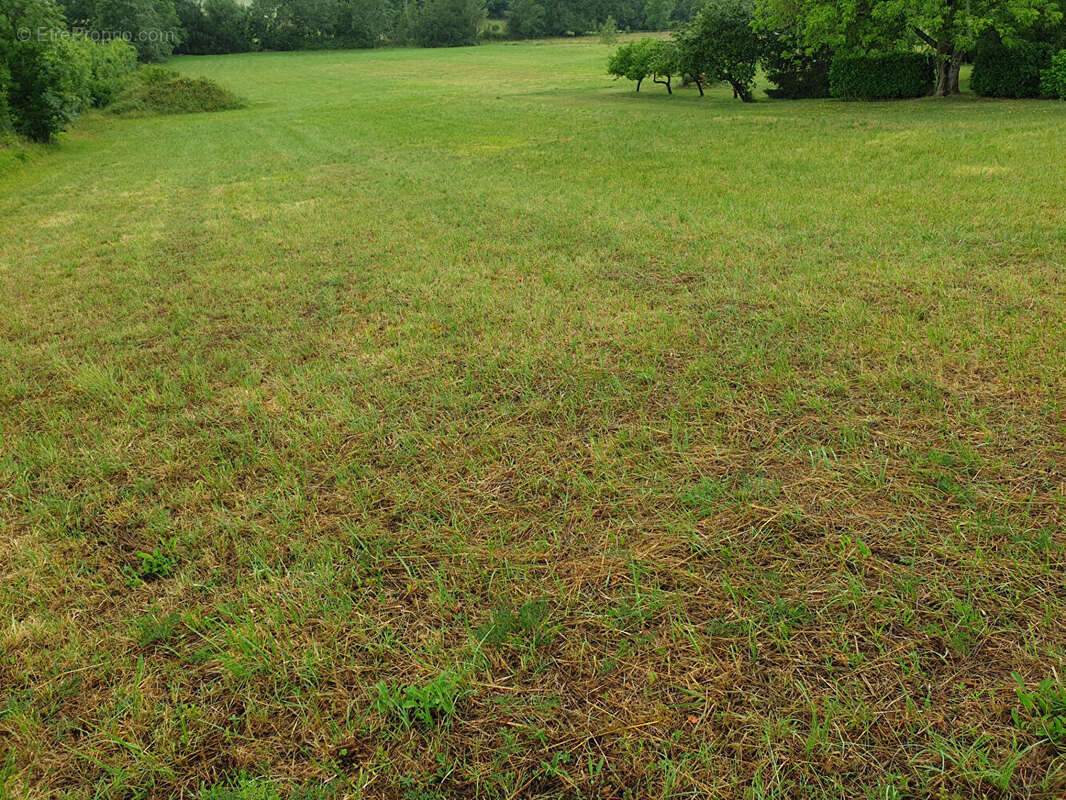 Terrain à MONTAZEAU
