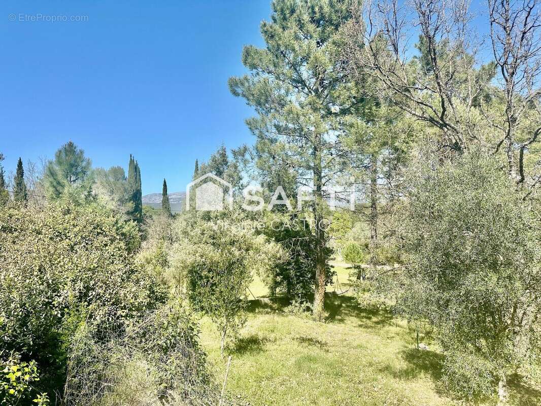 Photo 2 - Maison à MONTAUROUX