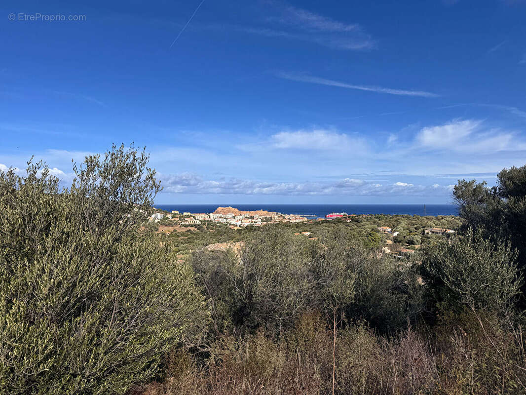 Terrain à SANTA-REPARATA-DI-BALAGNA