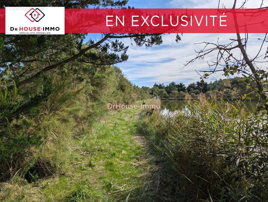 Terrain à L&#039;ILE-D&#039;OLONNE