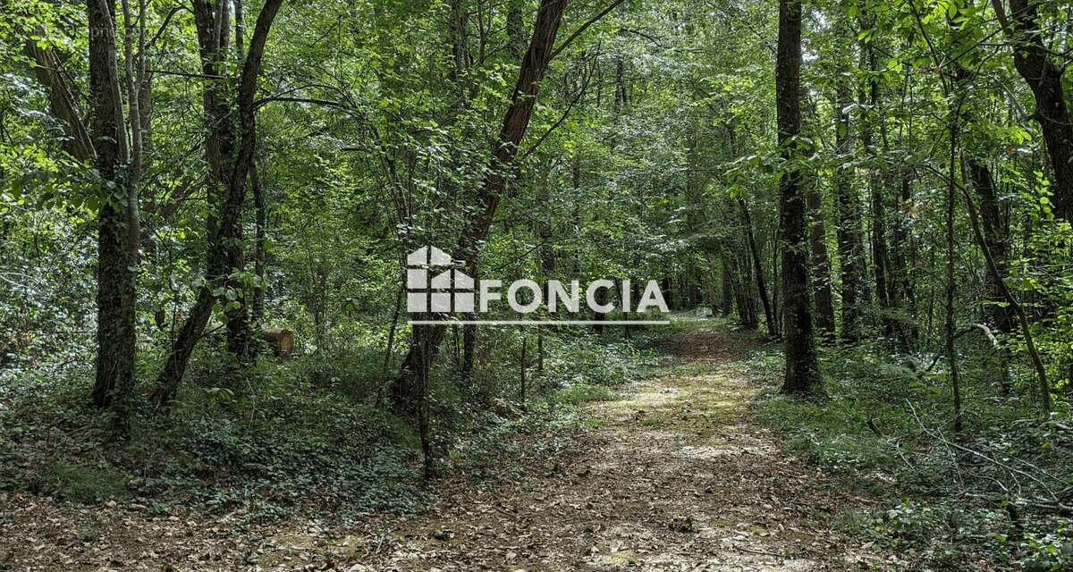 Maison à COULOUNIEIX-CHAMIERS