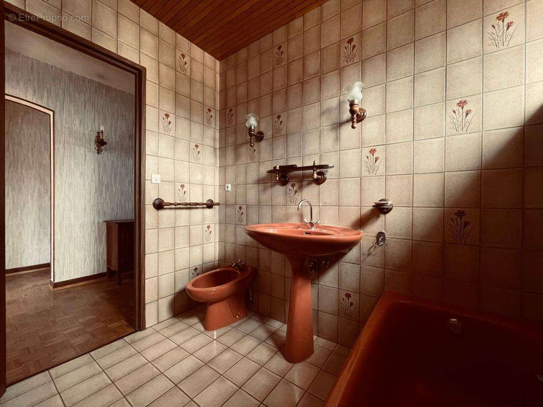 Maison À Vendre à HAGUENAU - photo 12