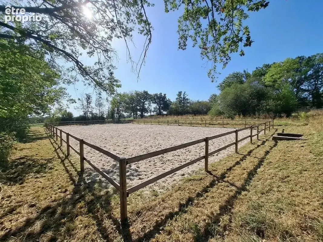 Maison 10 pièces 300 m² à vendre à Teilhede (63460) - photo 2