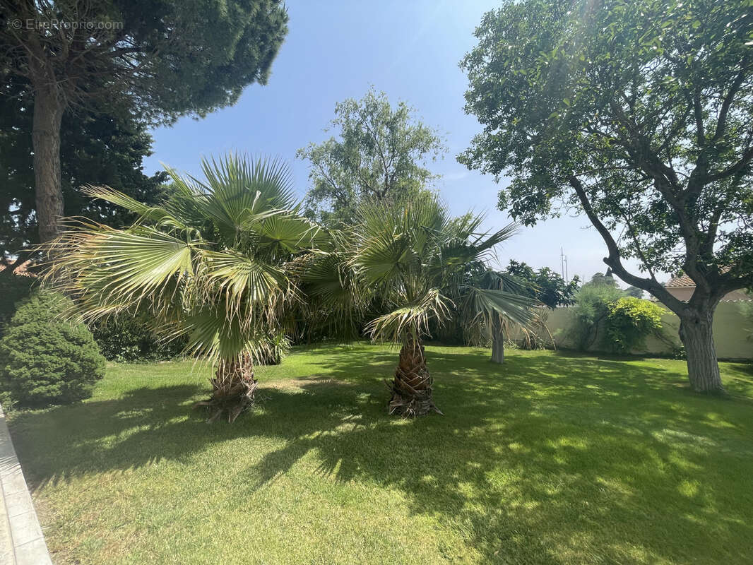 Maison à COLOMBIERS