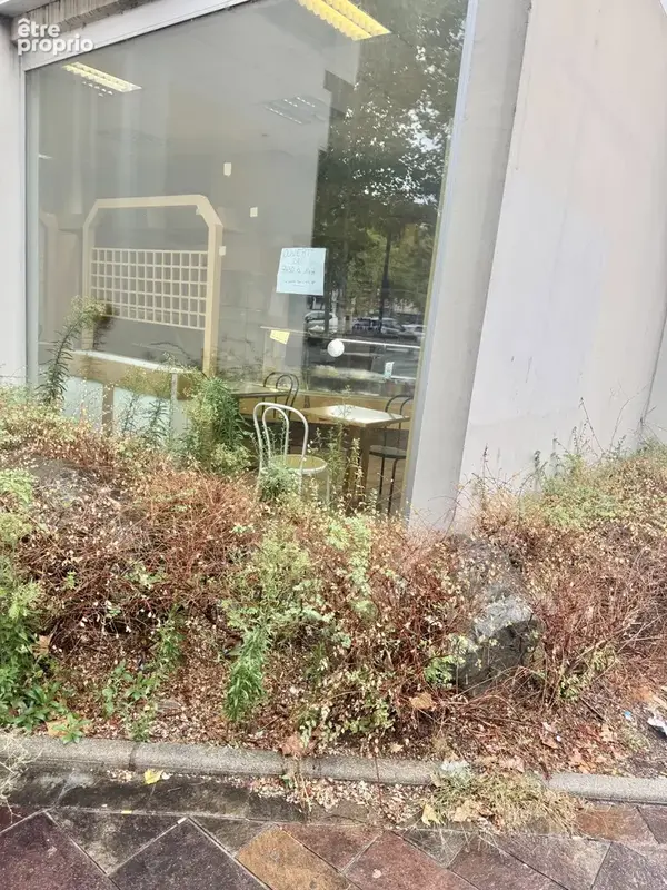 cession de droit au bail Mulhouse, possibilité restauration - photo 3
