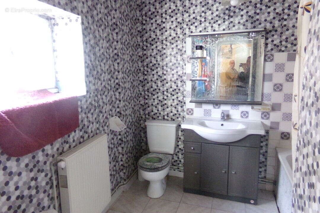 A SAINT-ALBAIN PROCHE MACON MAISON 5 PIECES DE 150 M2 SUR - Maison à SAINT-ALBAIN