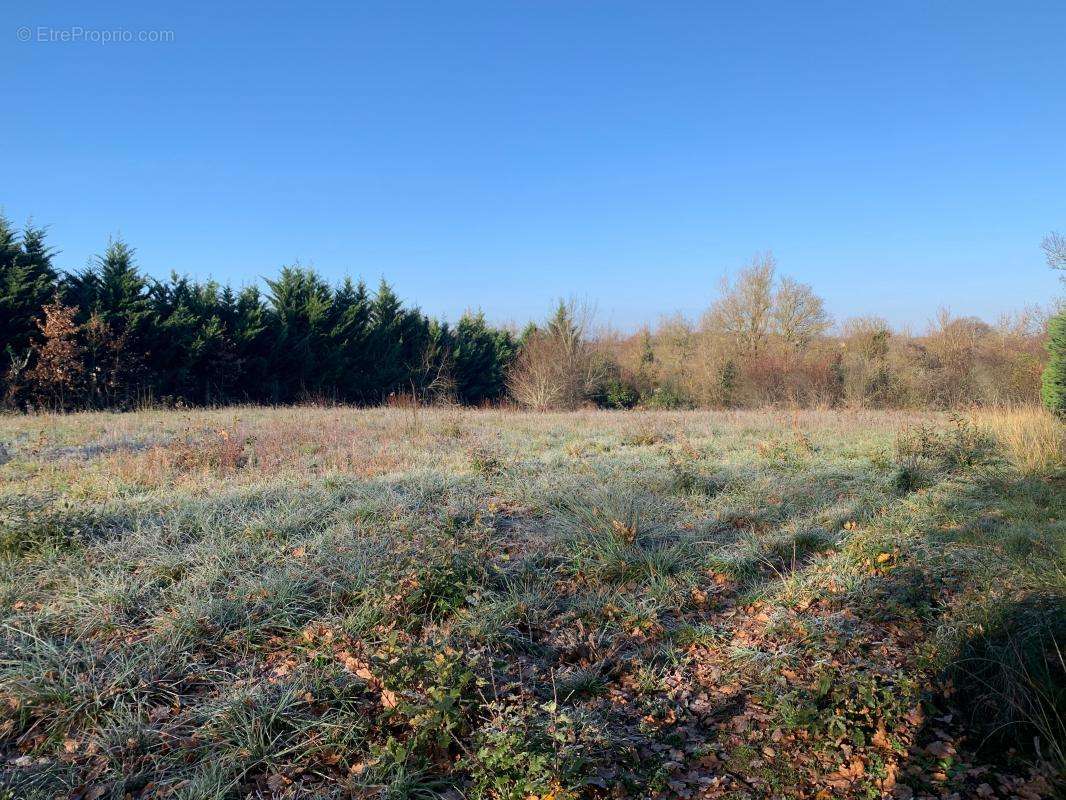 Terrain à FLEURANCE