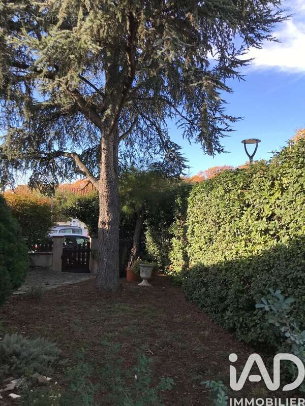 Photo 3 - Maison à COLOMIERS