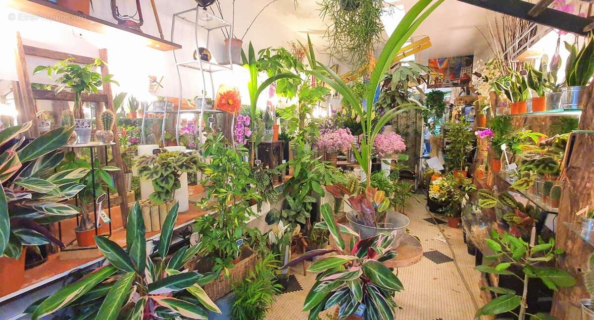 Commerce à PARIS-11E