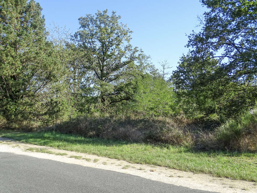 Terrain à SAINT-JULIEN-SUR-CHER