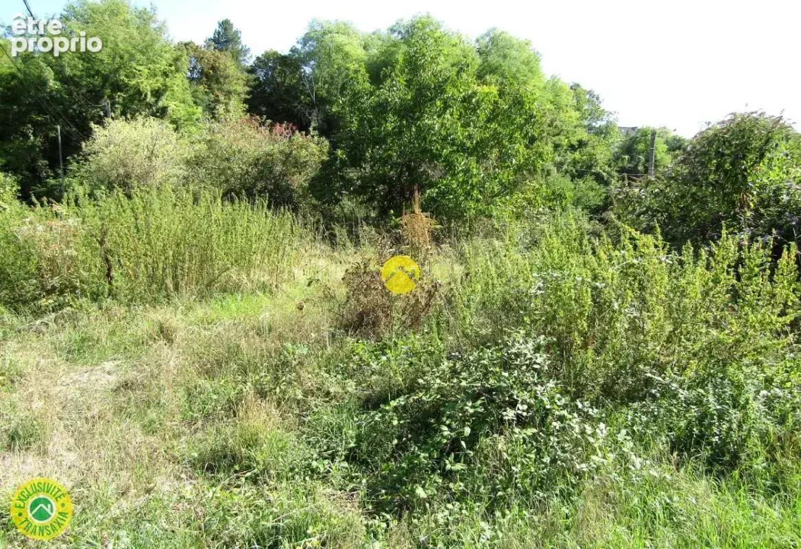 Terrain à MONTRICHARD