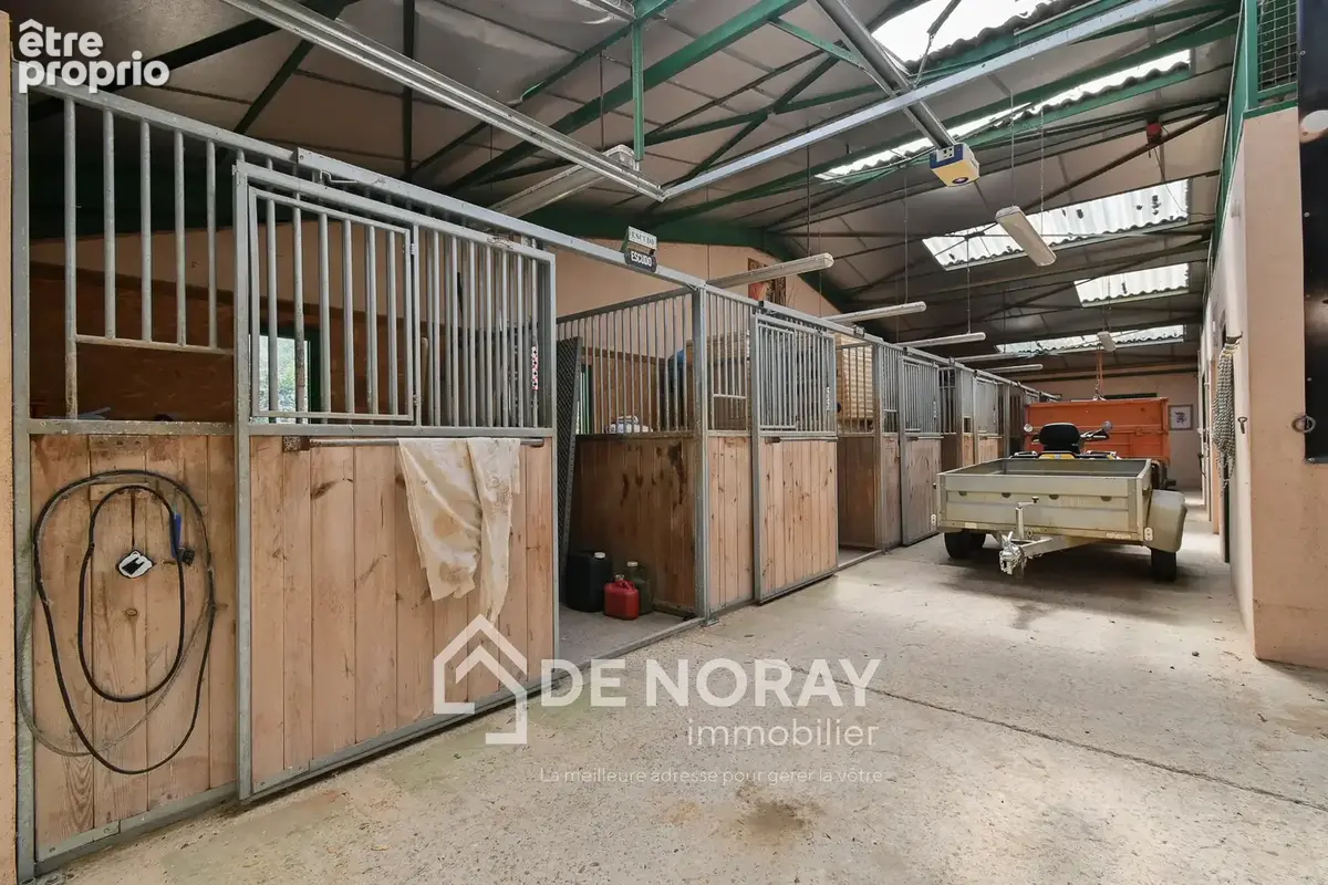 Propriété de 3 maisons + espace équestre sur 3,5 hectares - Gîte - photo 18