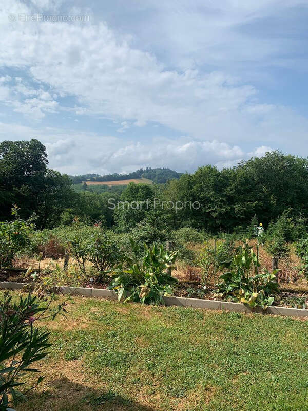 Maison 70 m2 sur 3600 m2 au calme assuré - photo 4