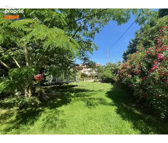 Maison 8 pièces 325 m² à vendre à Cailloux-Sur-Fontaines (69270) - photo 1