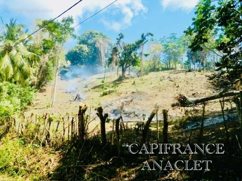 Terrain à RIVIERE-PILOTE