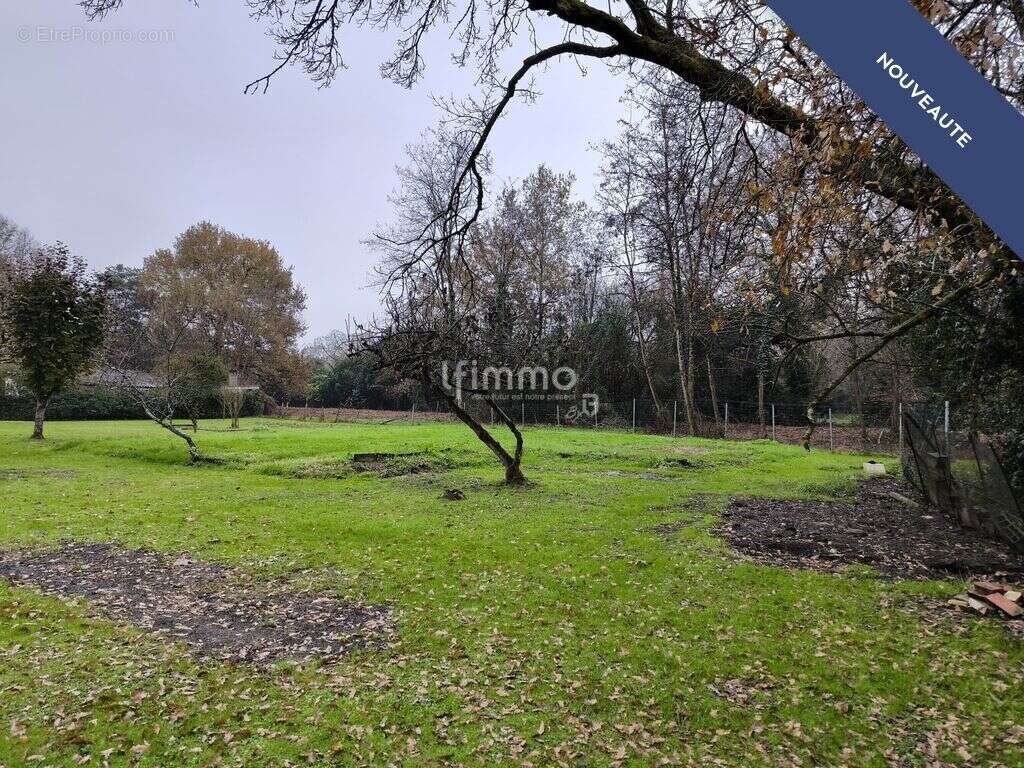 Maison à SAINT-VINCENT-DE-PAUL