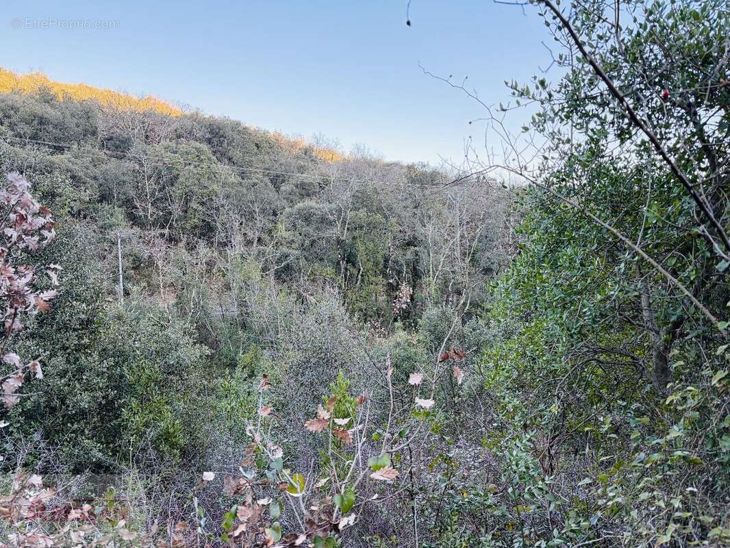 Terrain à SAINT-MARTIN-DE-VALGALGUES