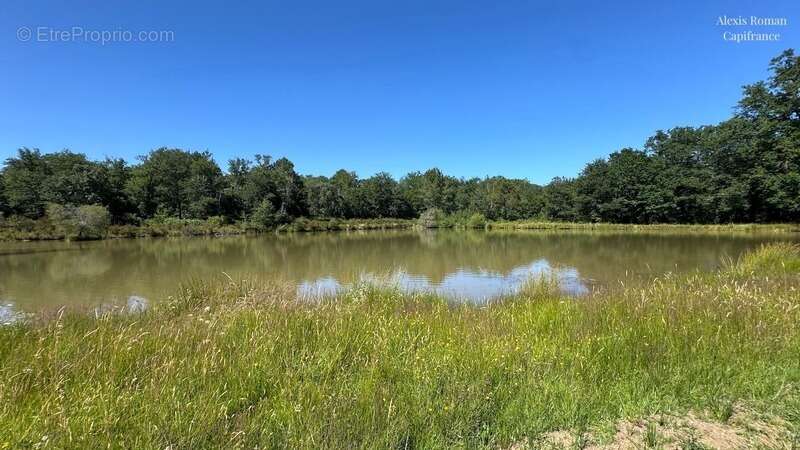 Domaine de 28 hectares avec étang privé, maison, 2 gîtes et plus de 400 m² de dépendances - photo 25