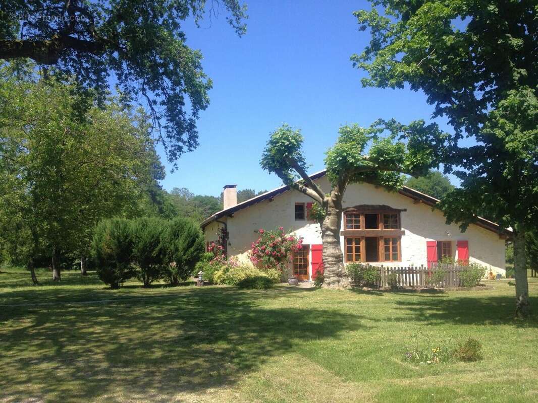 Maison 350 m² à Bazas  - photo 2