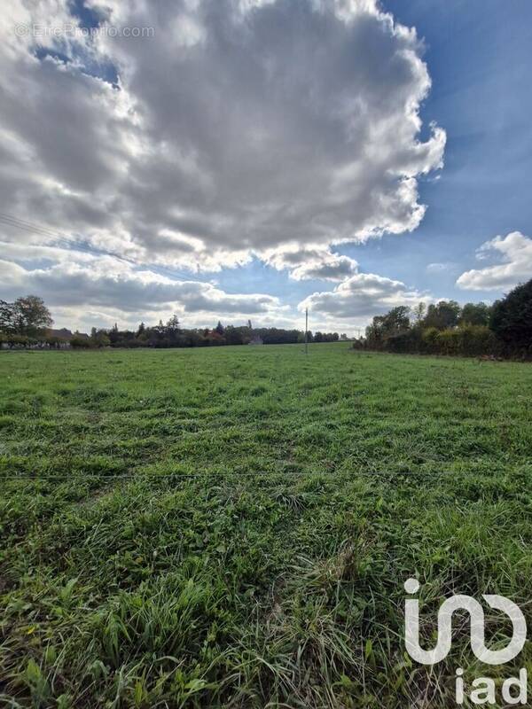 Photo 1 - Terrain à CHAUDENAY