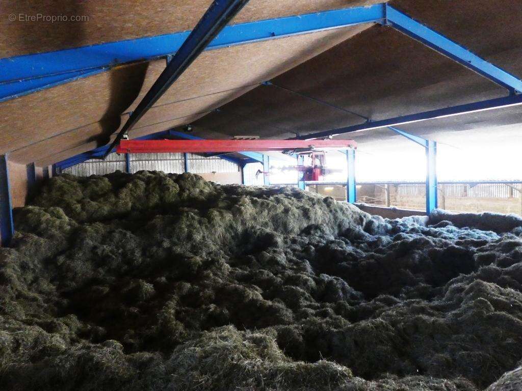 Exploitation agricole - photo 4