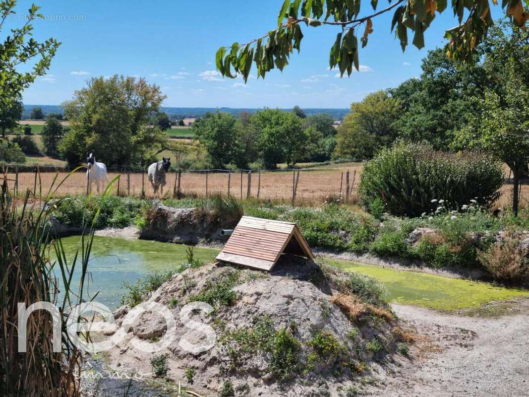 Maison 200 m² à Saint-Agnant-De-Versillat  - photo 5