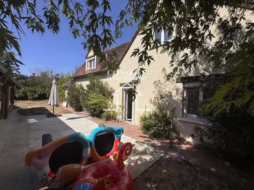 secteur St Julien du Sault/La celle Saint Cyr - photo 20