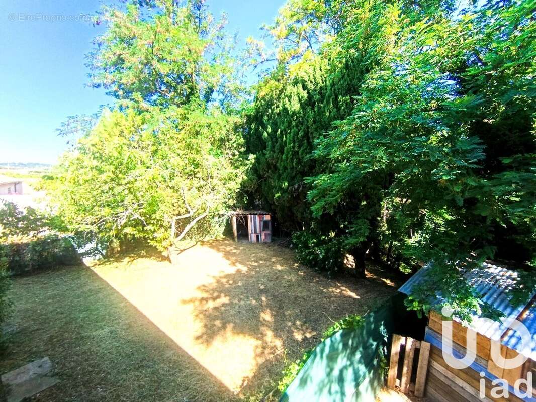 Photo 5 - Maison à MONTBRISON-SUR-LEZ