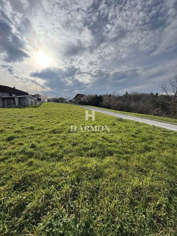 Harmon à vendre : Terrain divisible et Constructible à Serres-Sainte-Marie – Vue Imprenable - photo 3
