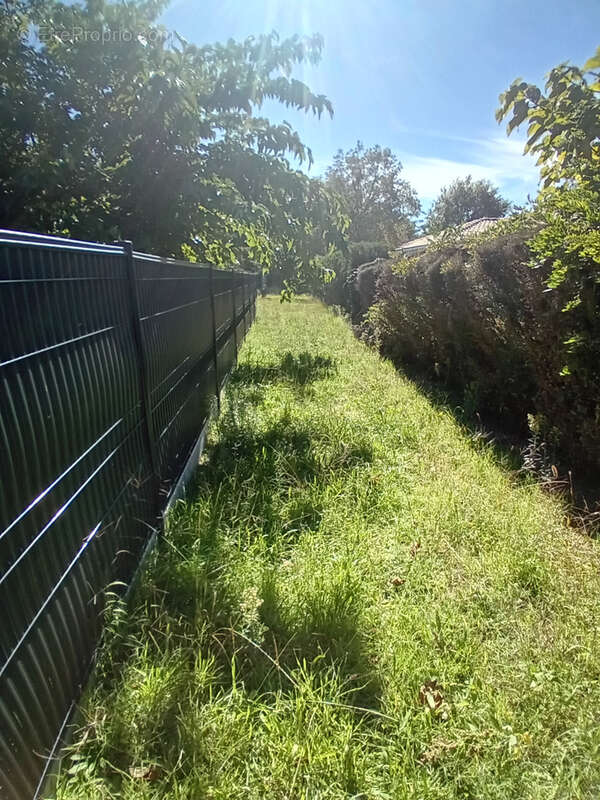 Terrain à GUJAN-MESTRAS