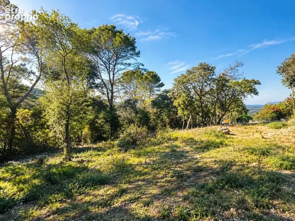 Terrain 1 330 m² à vendre à Le Thoronet (83340) - photo 2