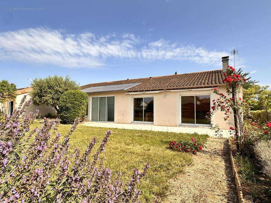 Maison à NEUVILLE-DE-POITOU