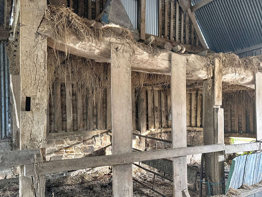 Maison à JUVIGNY-LE-TERTRE