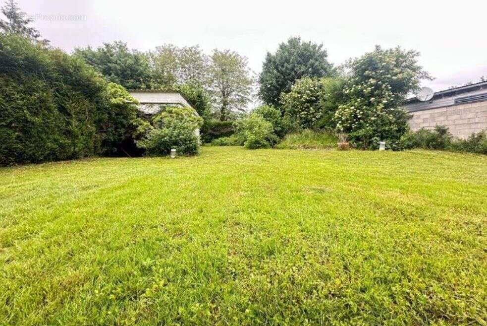 Terrain à LE PLESSIS-TREVISE
