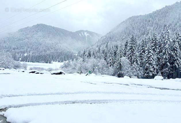 Commerce à BELLEVAUX