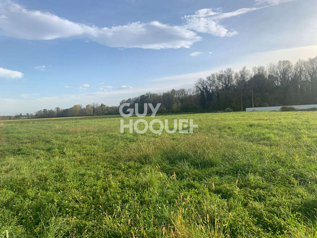 Terrain à LABASTIDE-CEZERACQ