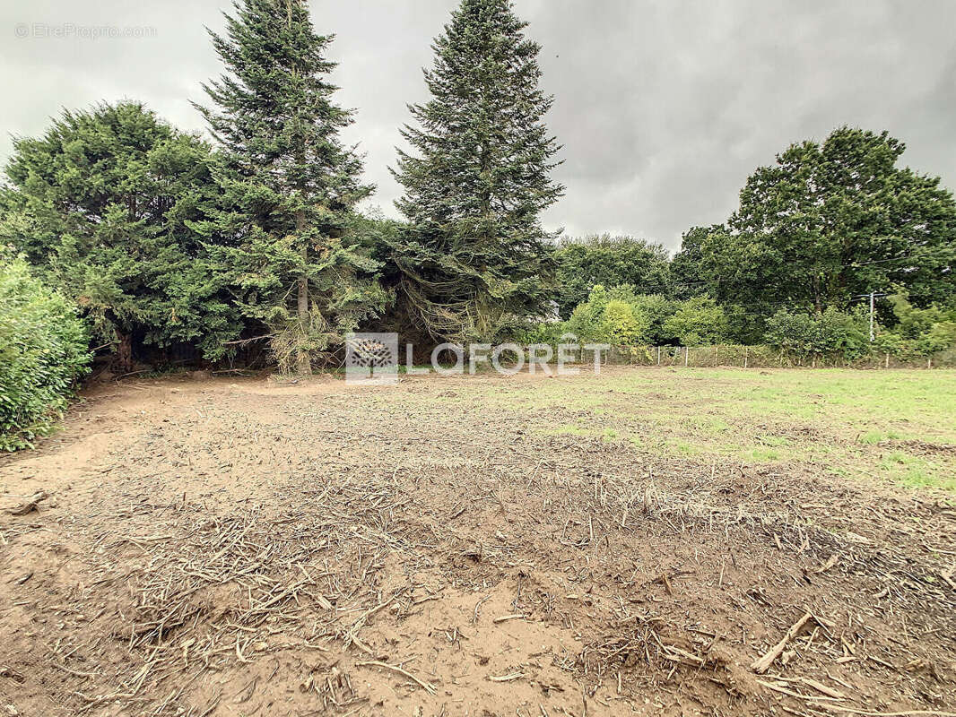 Terrain à MERDRIGNAC