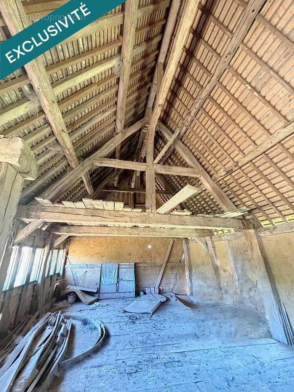 Photo 7 - Maison à BONNEBOSQ