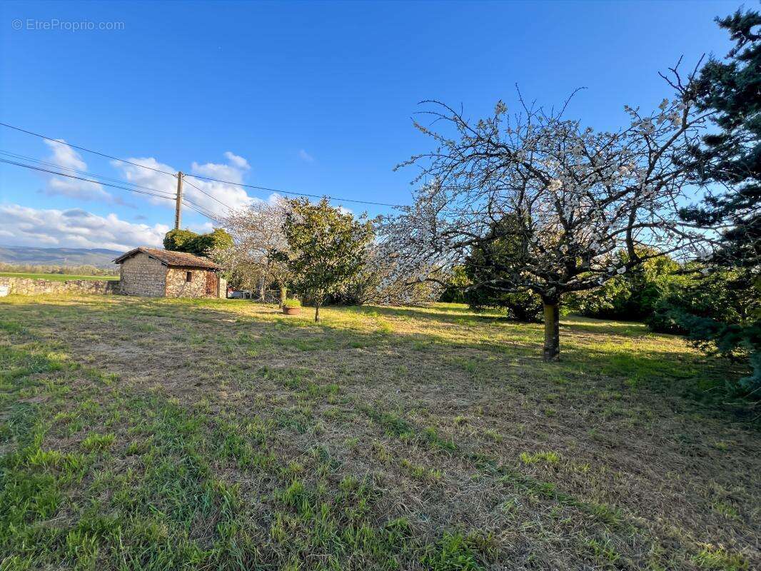 Maison à LIVRON-SUR-DROME