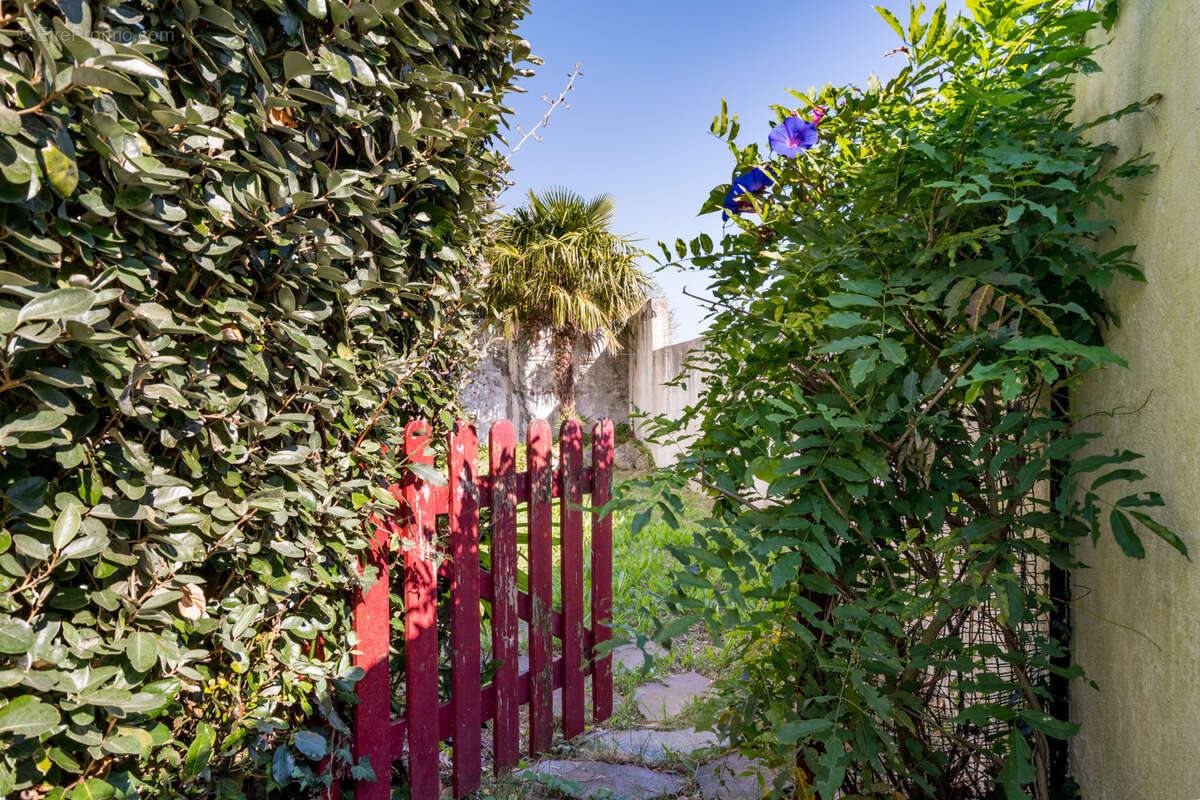 Appartement à CIBOURE